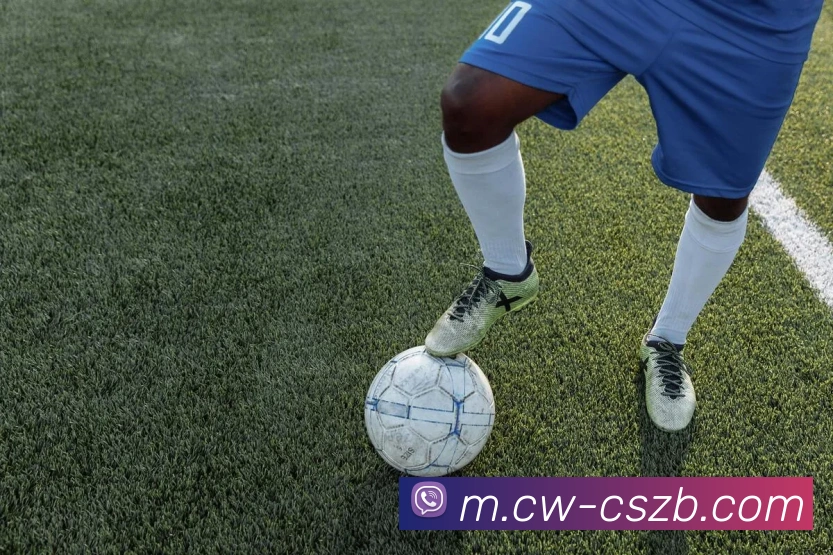 App Interface Preview